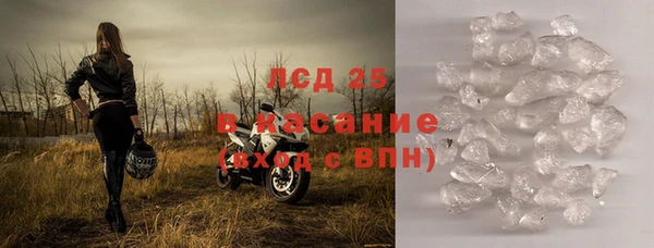 прущие грибы Армянск