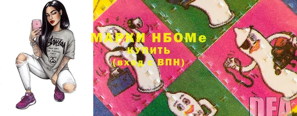 хмурый Арсеньев