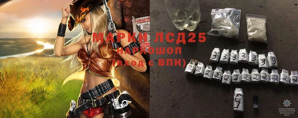 хмурый Арсеньев
