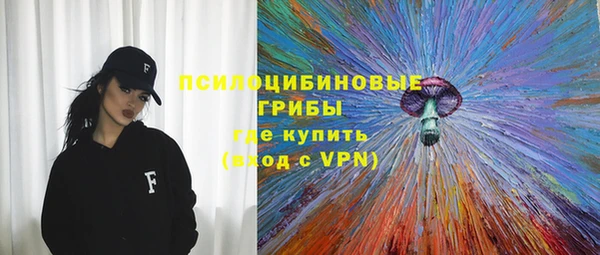 хмурый Арсеньев