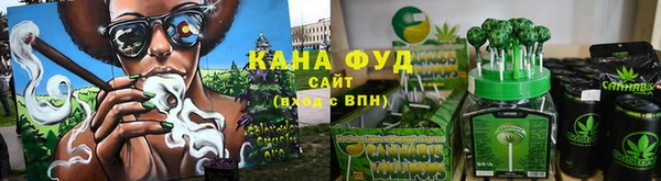 хмурый Арсеньев