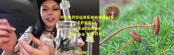 прущие грибы Армянск